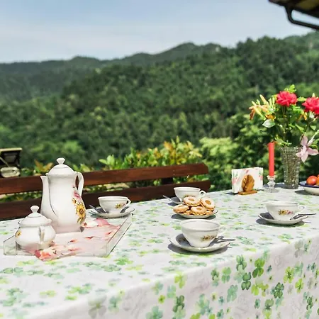 Country house Pocitniska Hisa Pologar Tolmin