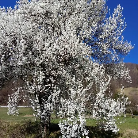 Seoska kuća Pocitniska Hisa Pologar *