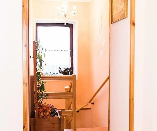 Casa di campagna Pocitniska Hisa Pologar *